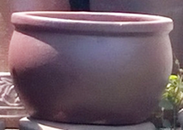 SP-BC003