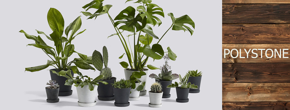 Quality export Polystone pots in Vietnam