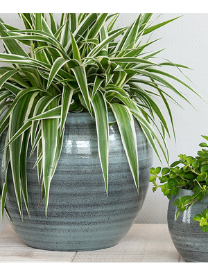 Vietnam pottery handicraft fine arts exporter