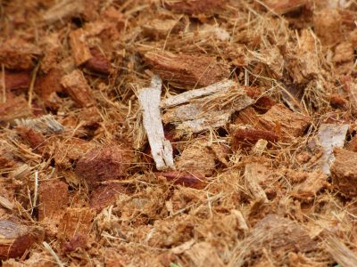 What Is Coconut Coir: Tips On Using Coconut Coir As Mulch