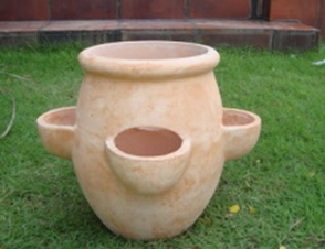 SP-TC011